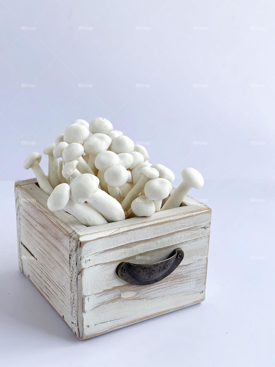 White mushroom in the rustic white box