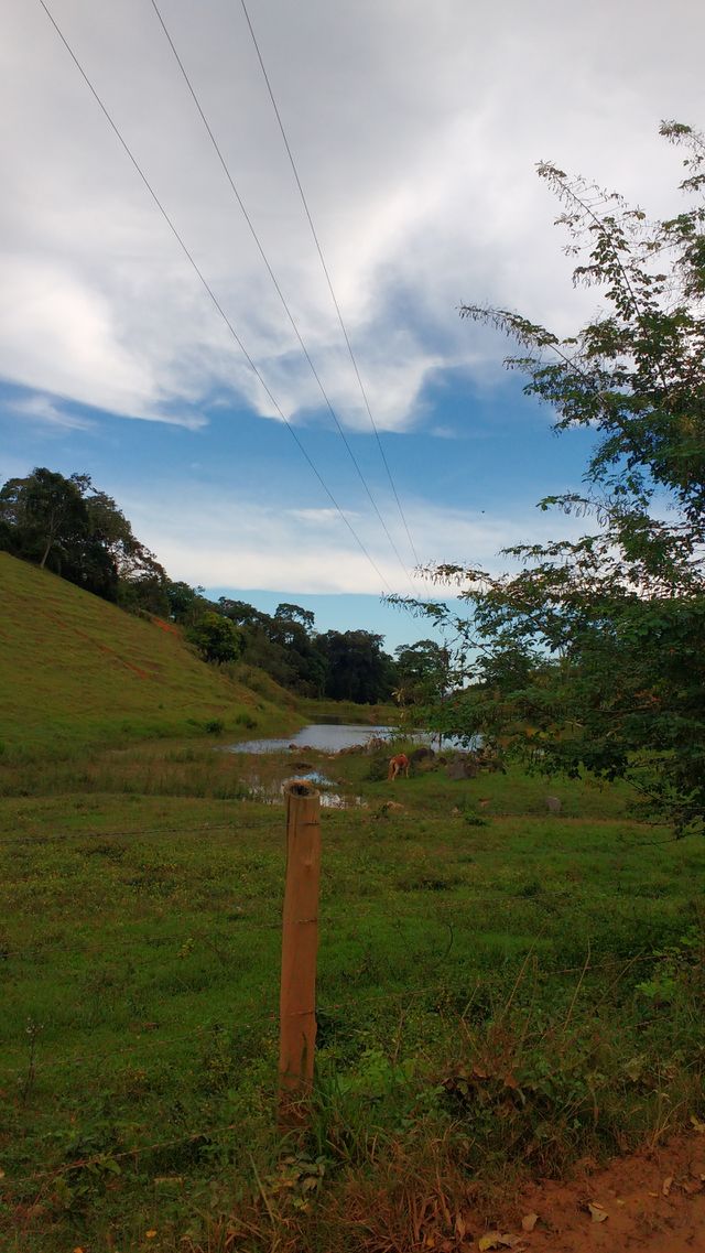 lindo