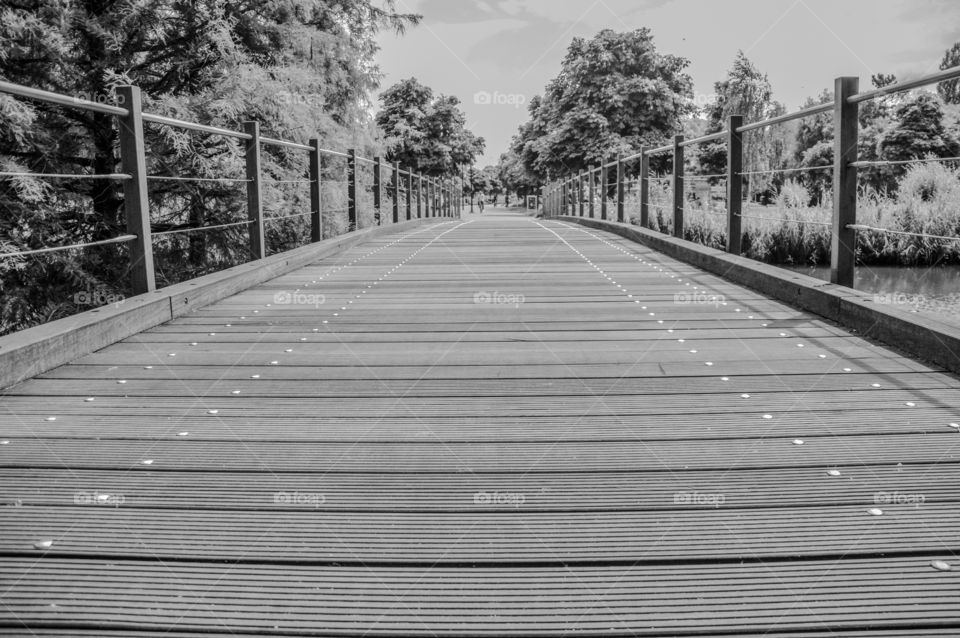 Black And White Photo Of A Walking Bridge