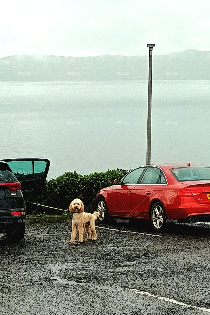 Why are you looking at me?