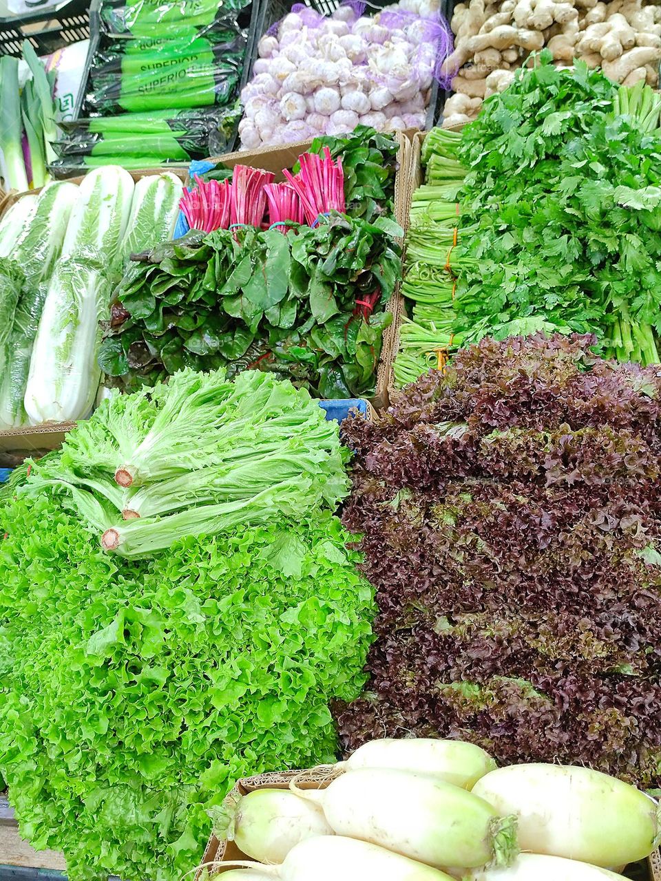Spring market.  Boxes with different varieties of lettuce, garlic, Icebury lettuce