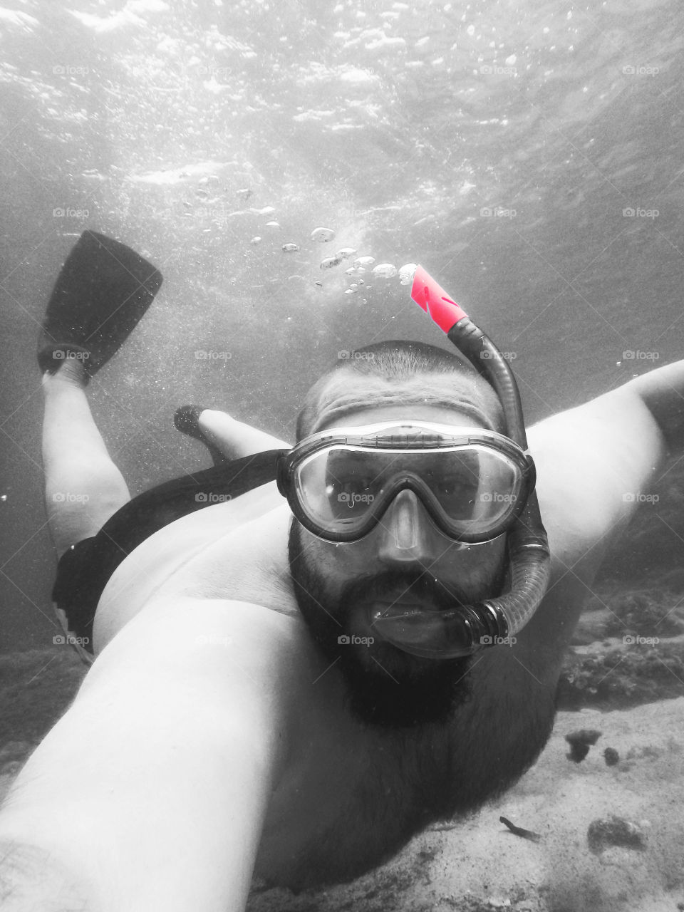 snorkling monochrome. snorkling underwater in monochrome with selective color red