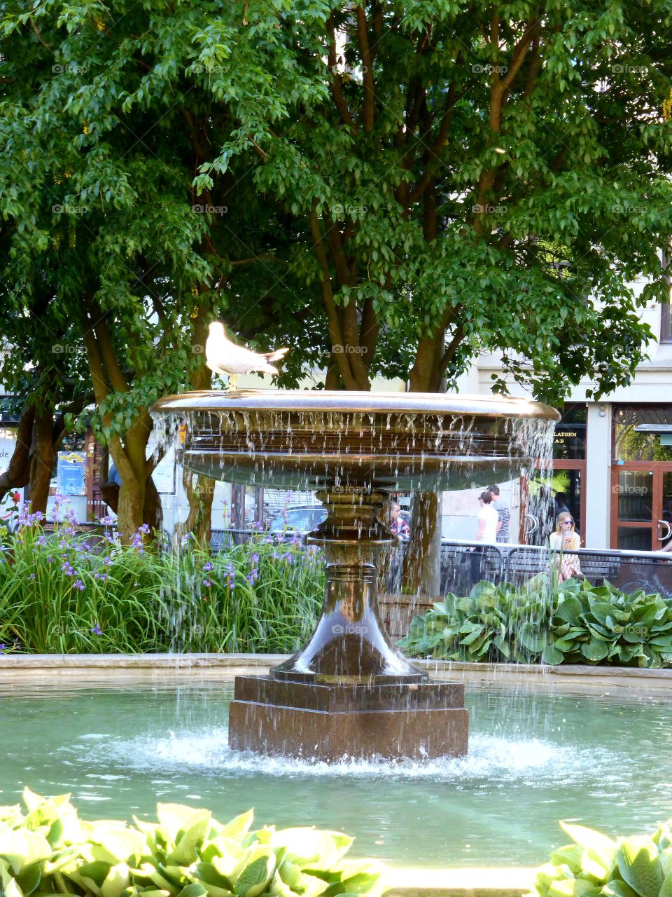 Urban garden in the city of Gothenburg 