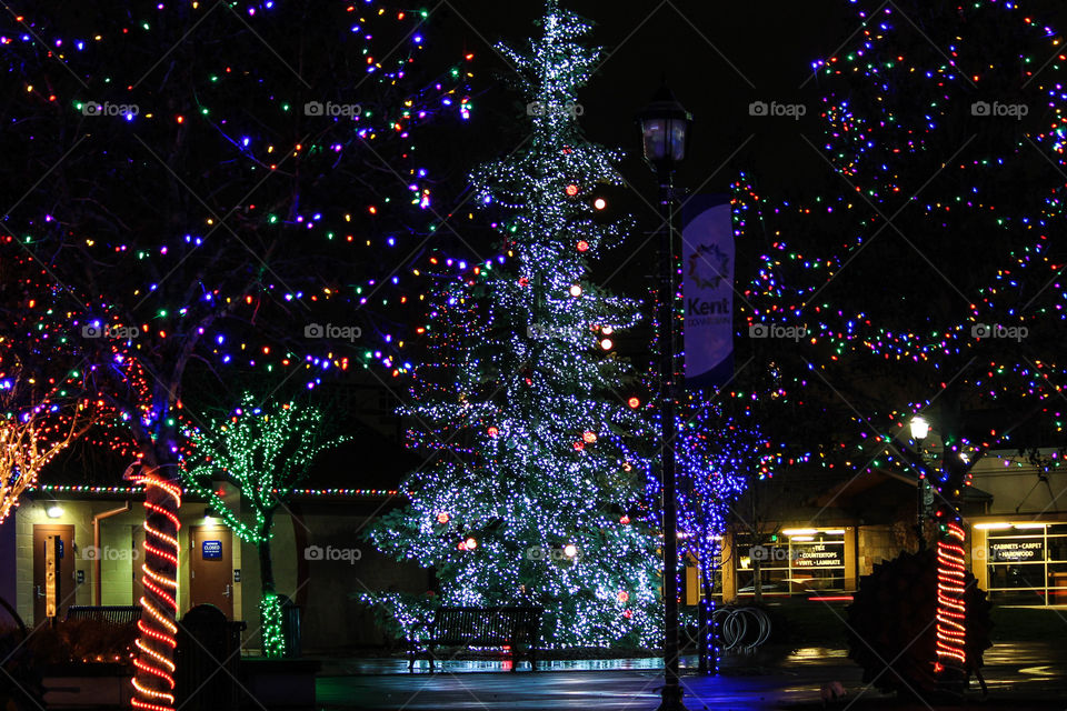 Christmas, Light, Celebration, Winter, Illuminated