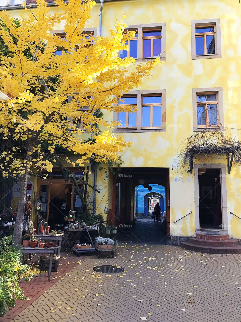 Dresden, Germany