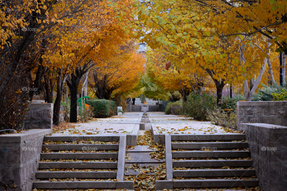 Tabriz Valiasr musical park during anthem