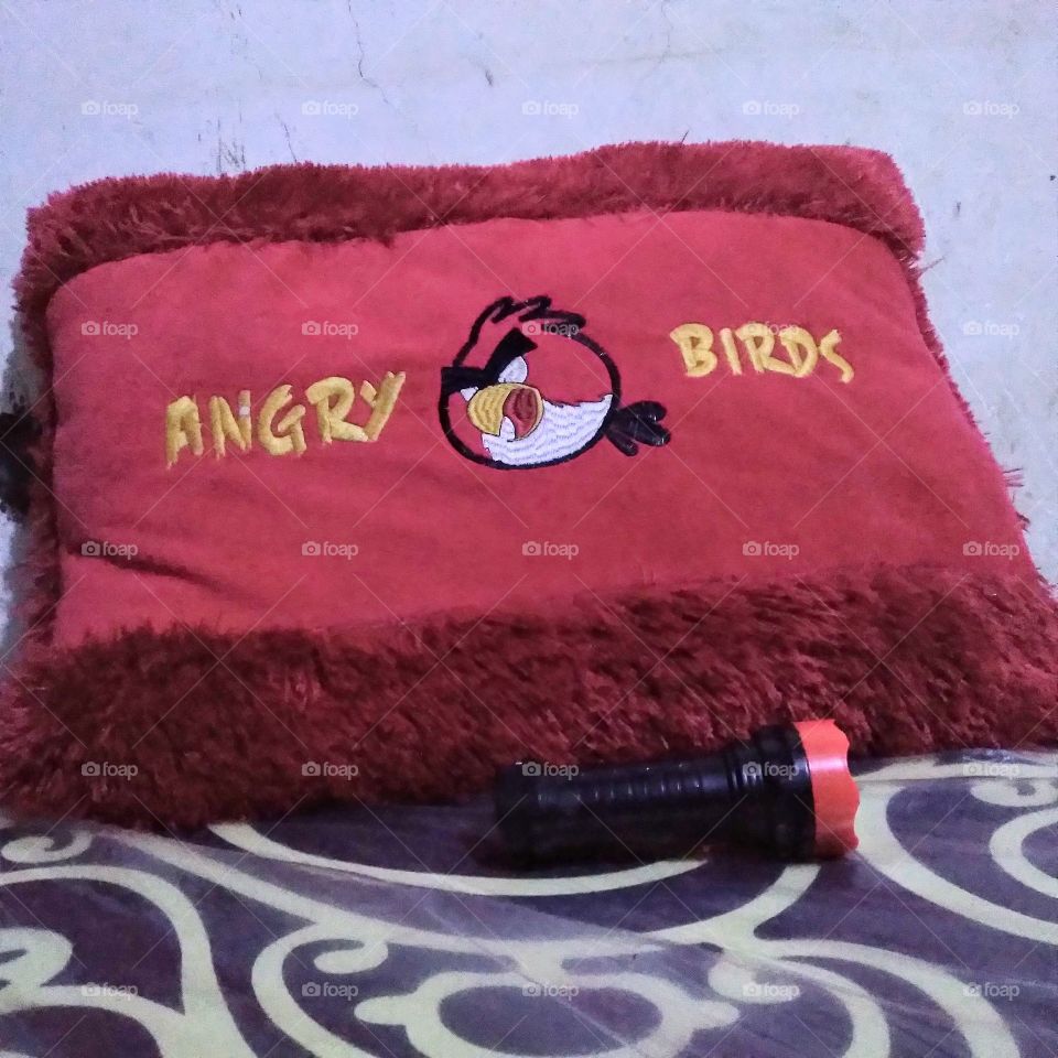 Love Pillow and flashlight.