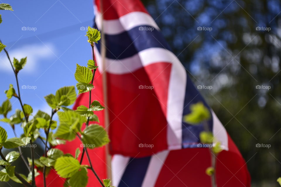 Norwegian Flag . Red white Blue in Norwegian Flag on national day 17. Mai in Norway 