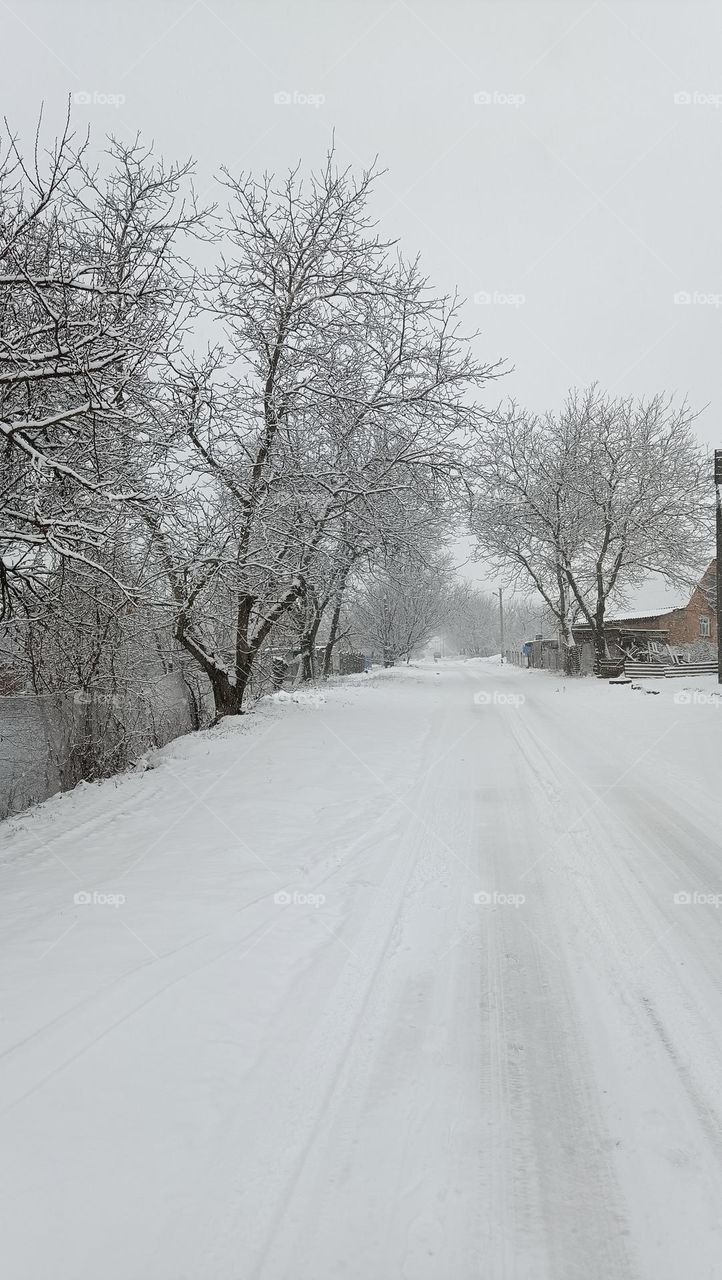 winter ❄️❄️❄️