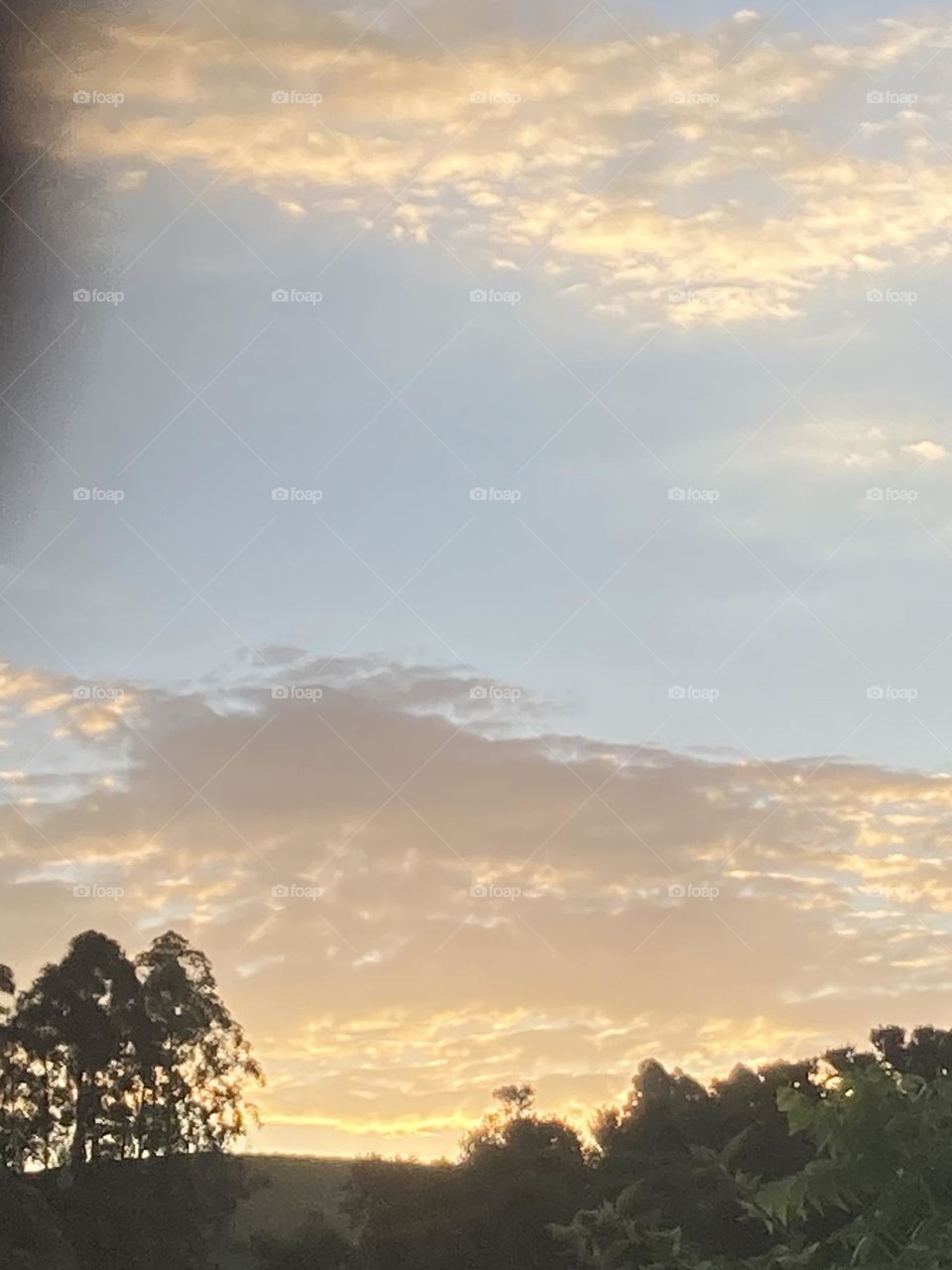 Céu claro com nuvens coloridas ao entardecer. Céu alaranjado, cinzento e azul ao pôr do sol, na base árvores escuras.