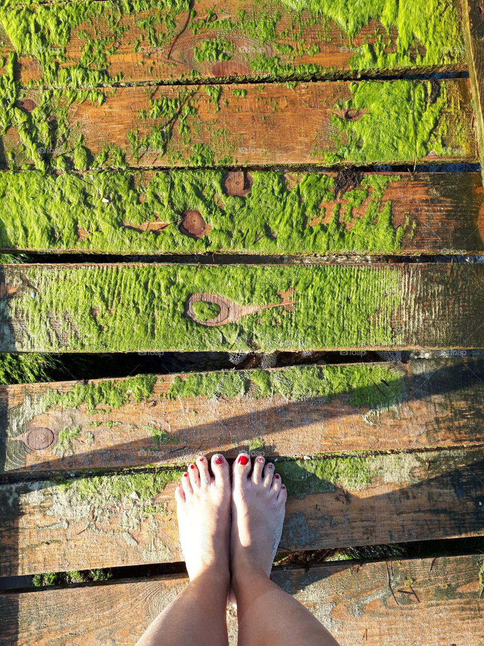 Woman feet at the wooden bridge with seaweed