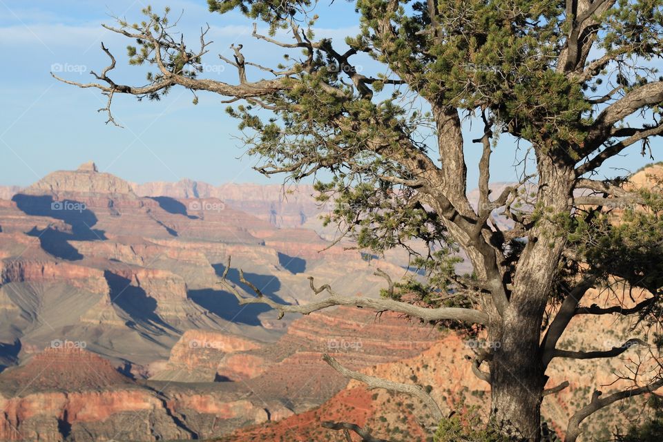 view over the grand canyon