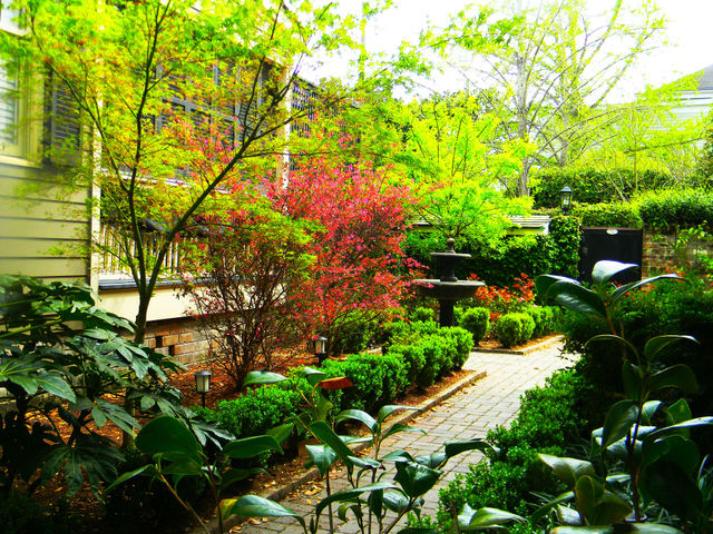 Serenity gardening. A garden in savannah 