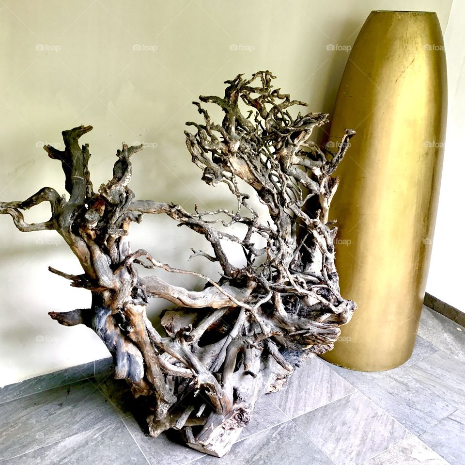 Root of a tree and a golden vase