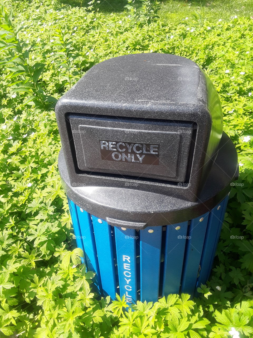 Recycle Bin In Park