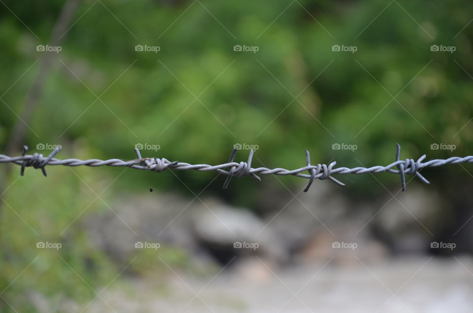 background blur
river side
wire
photography
himachal
green green