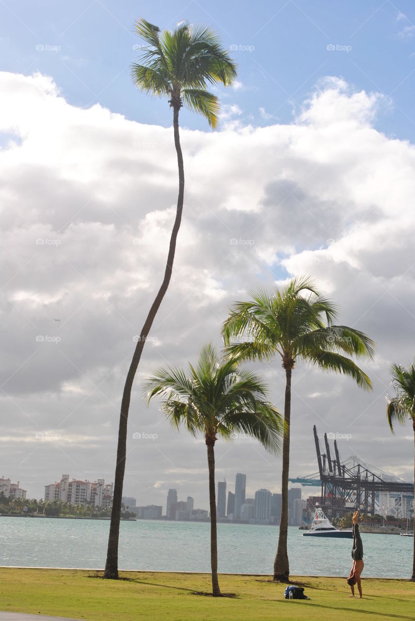 Yoga and palm trees