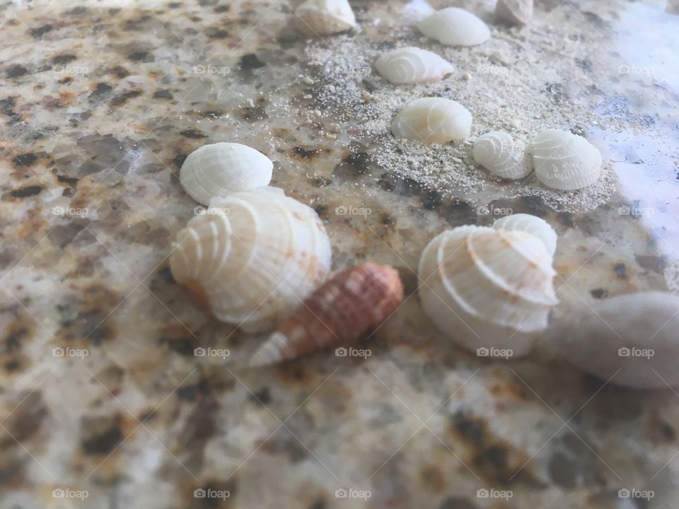 Shells
