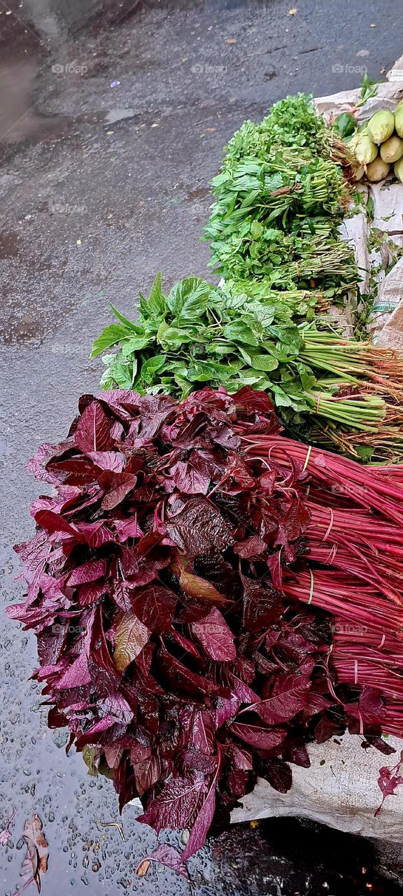 Amaranthus (cheera)