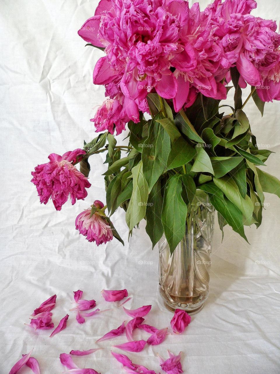 flowers in a vase