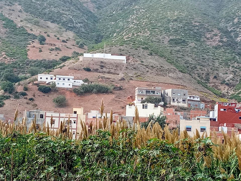 House's between the nature