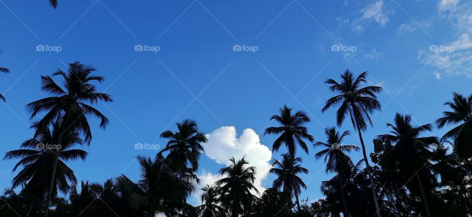 Evening sky at the end of the year