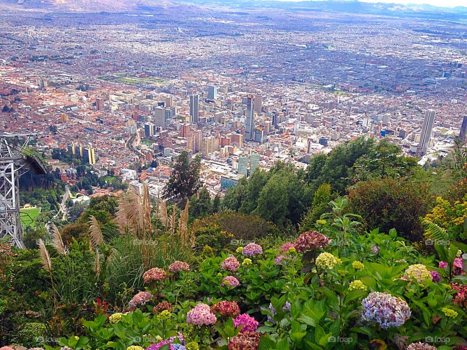 Flower view. Colombia