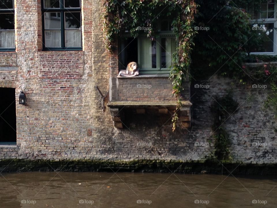 House, Architecture, No Person, Building, Window