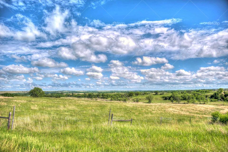 Nebraska Meadow
