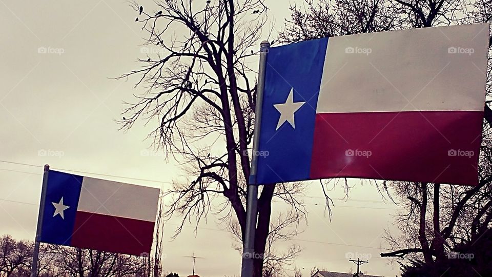 Texas  Flags, Austin Pub