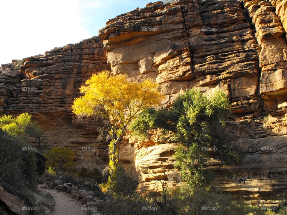 Autumn down in the Grand Canyon