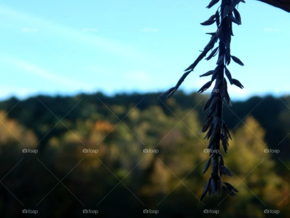 A piece of hay with mountains in the background 