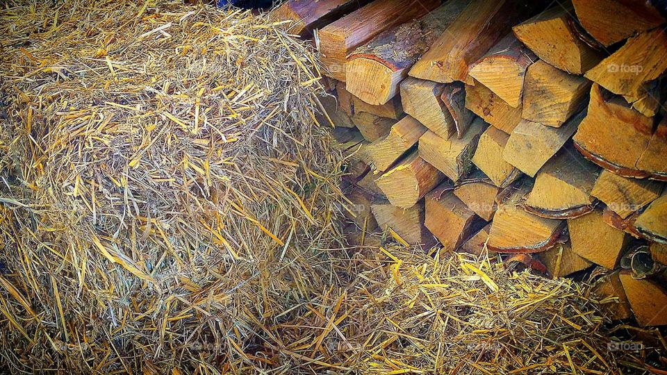 Summer countryside.  Stocks for the winter: logs of firewood and a stack of dry hay