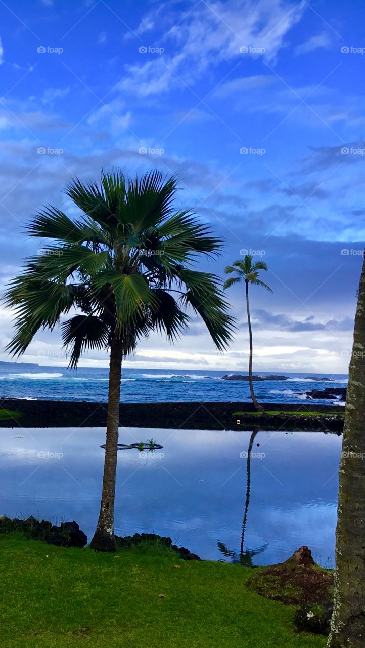 Quiet tide pool at a Hilo beach park