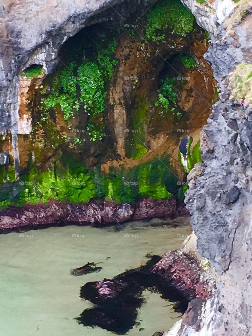 Cave seen from The Carrick-a-Rede rope bridge