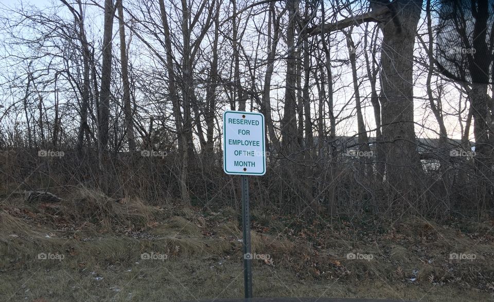 Employee of the month