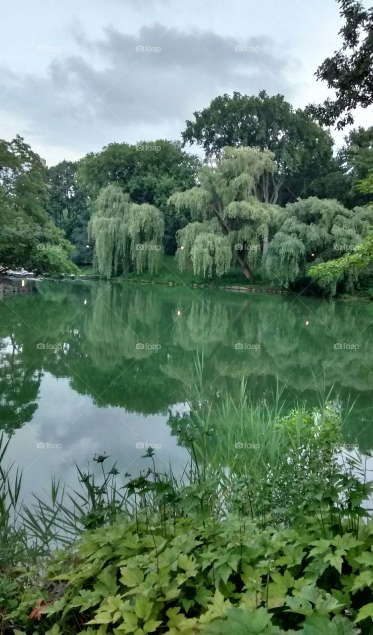 Central Park Lake at Dusk. At Central Park