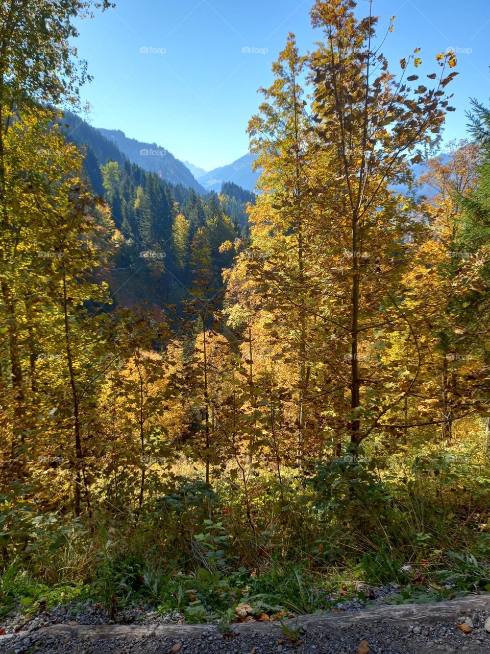 Autumn Colors in the Mountains