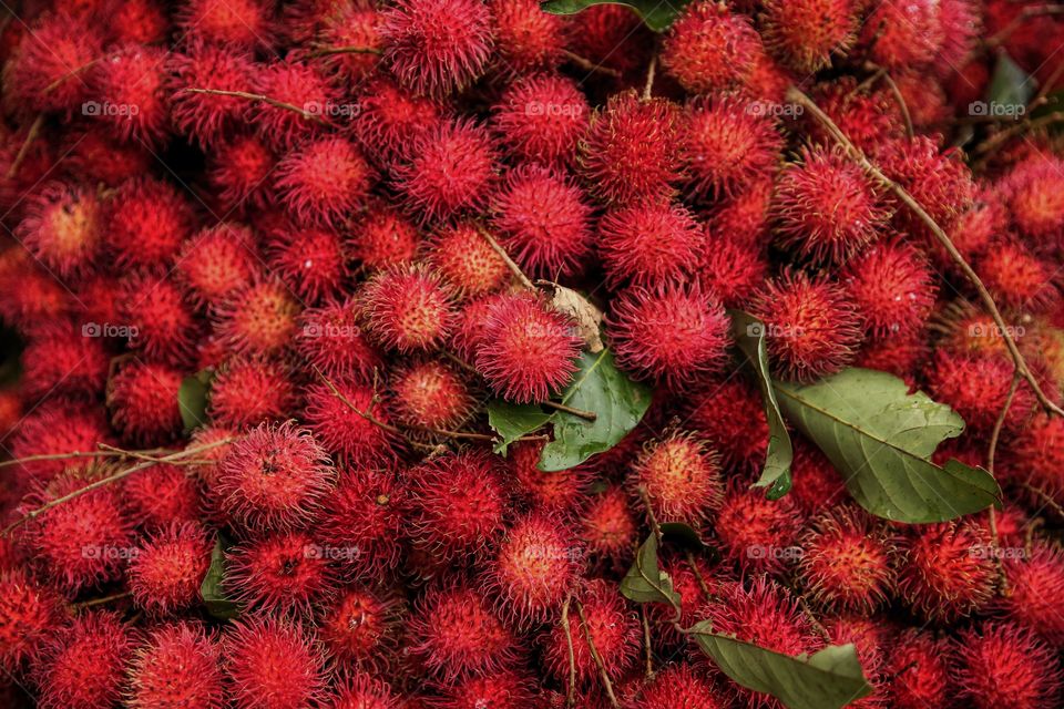 Lychee 
