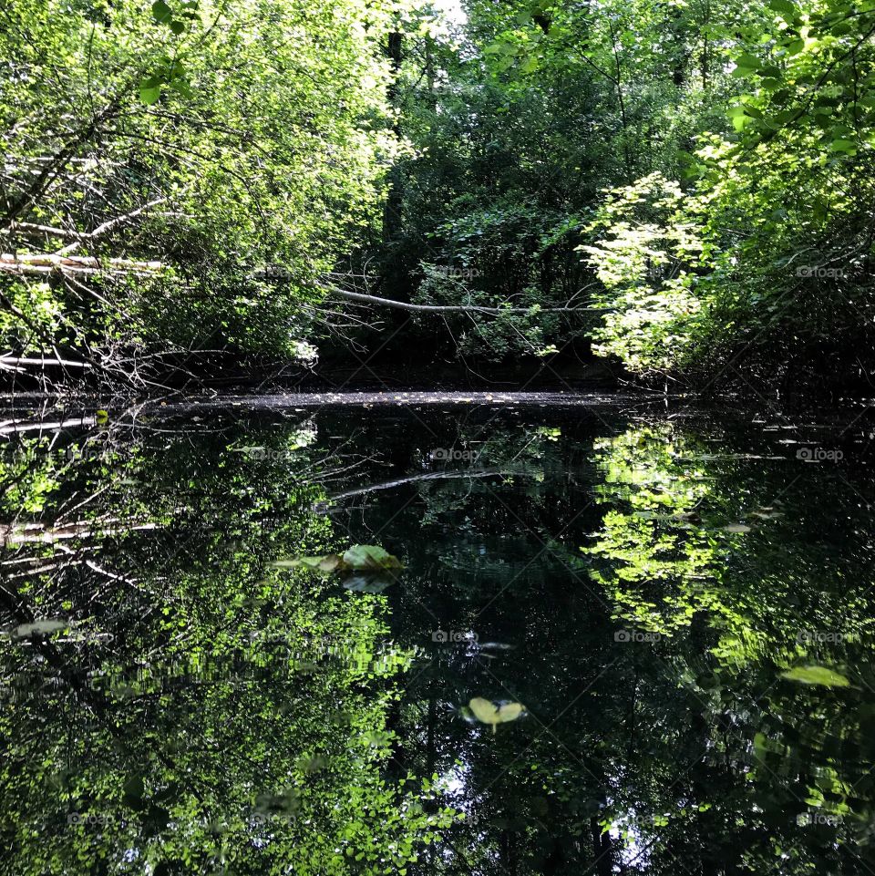 Schnapshölzli Solothurn 