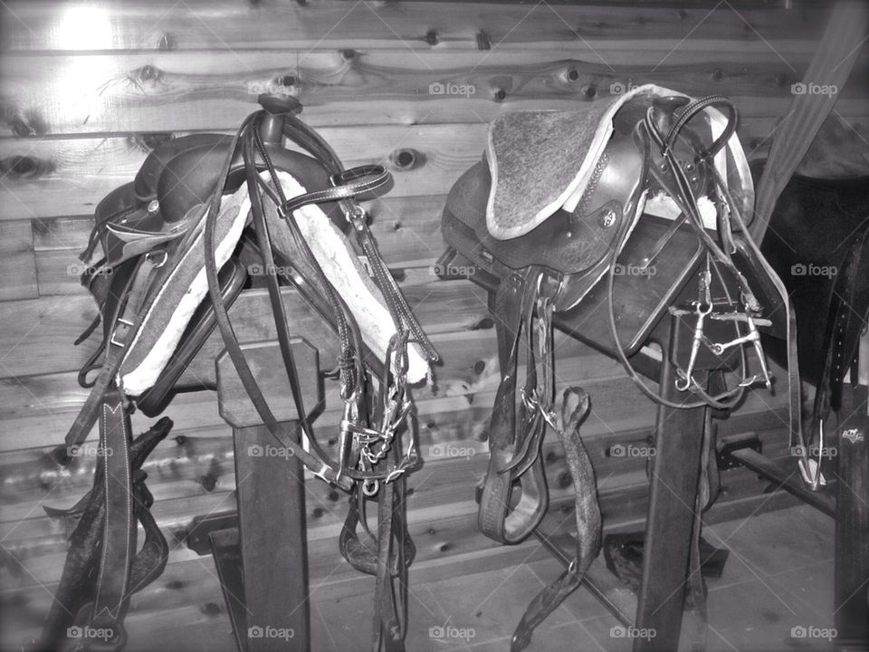 Tack Room