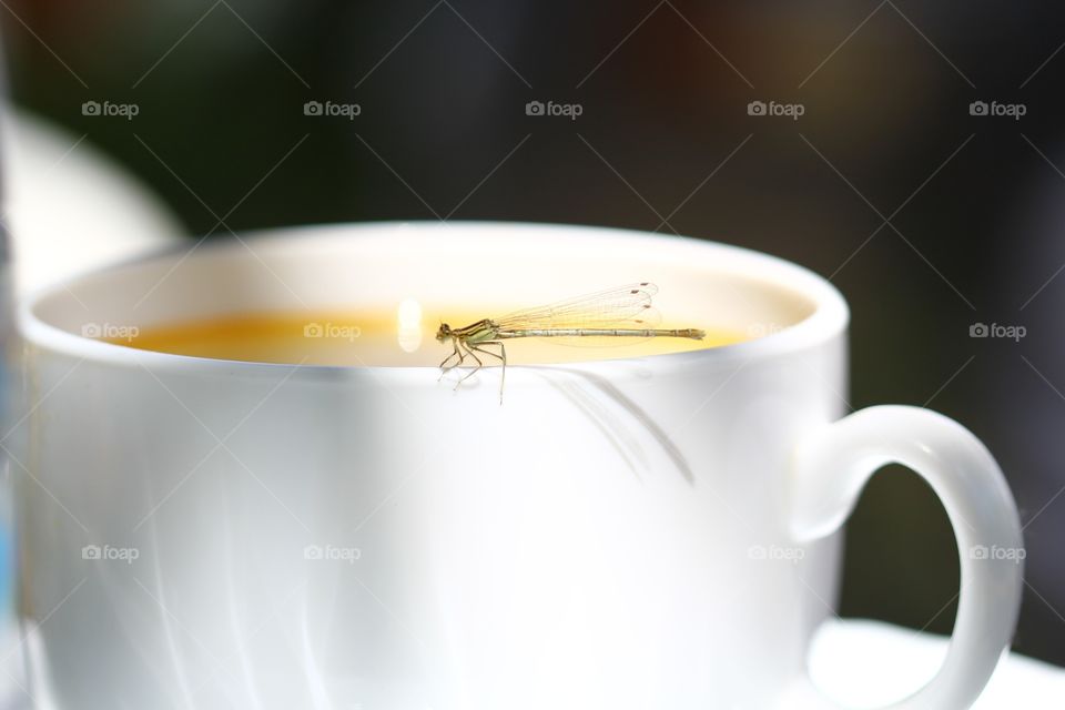 Coffee and dragonfly