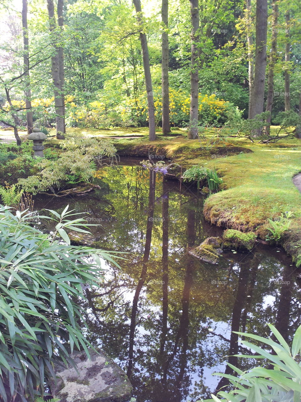 many shades of green at the Japanese garden