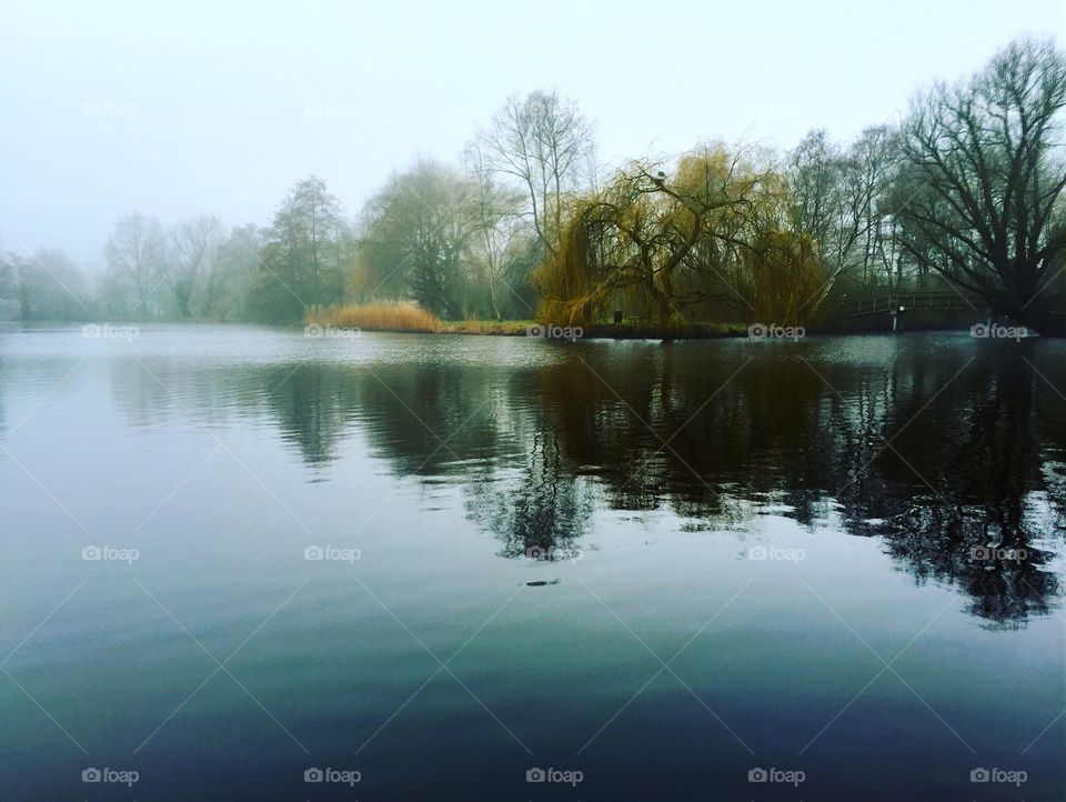 Dutch landscape series 