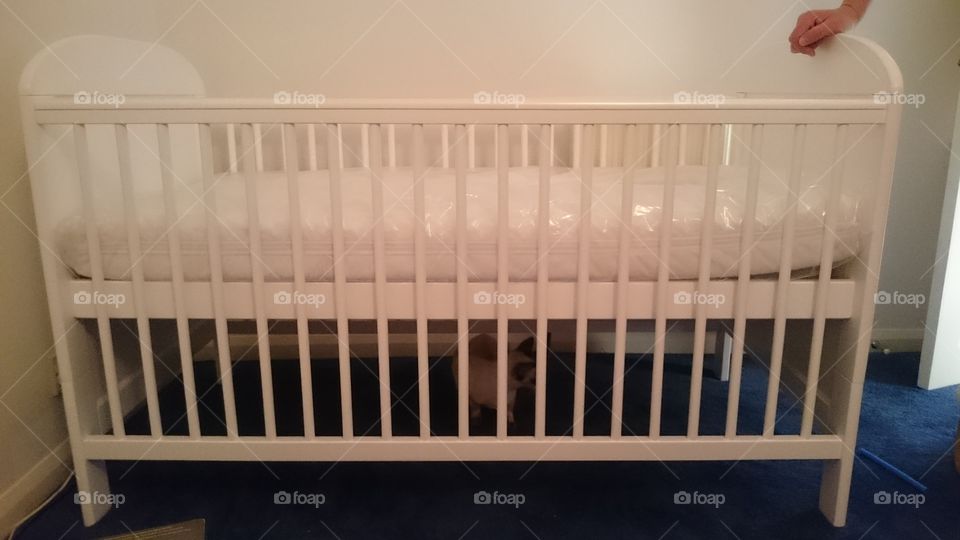 new cot