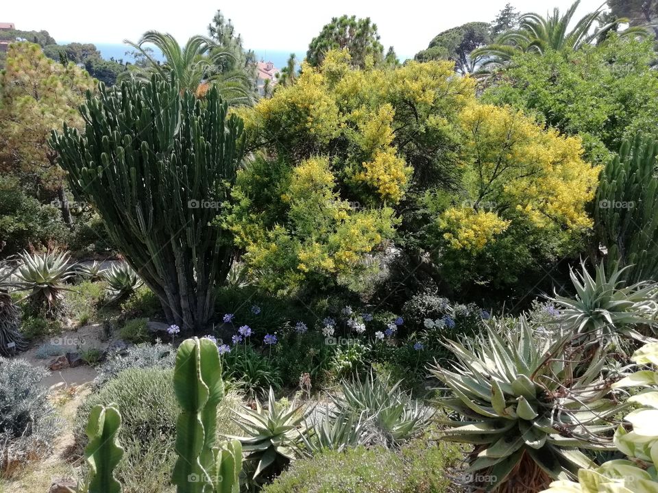 Jardín Botánico