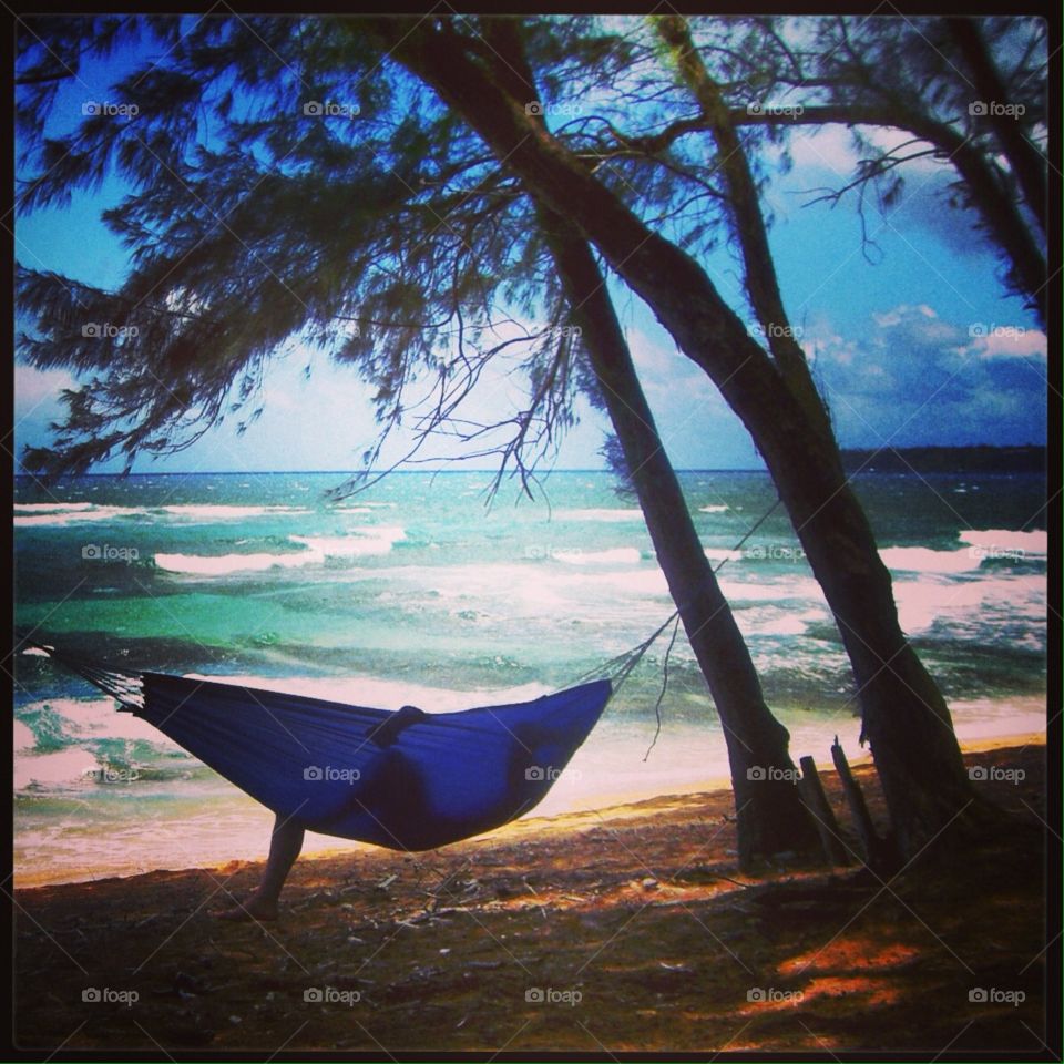 Rock the Hammock 