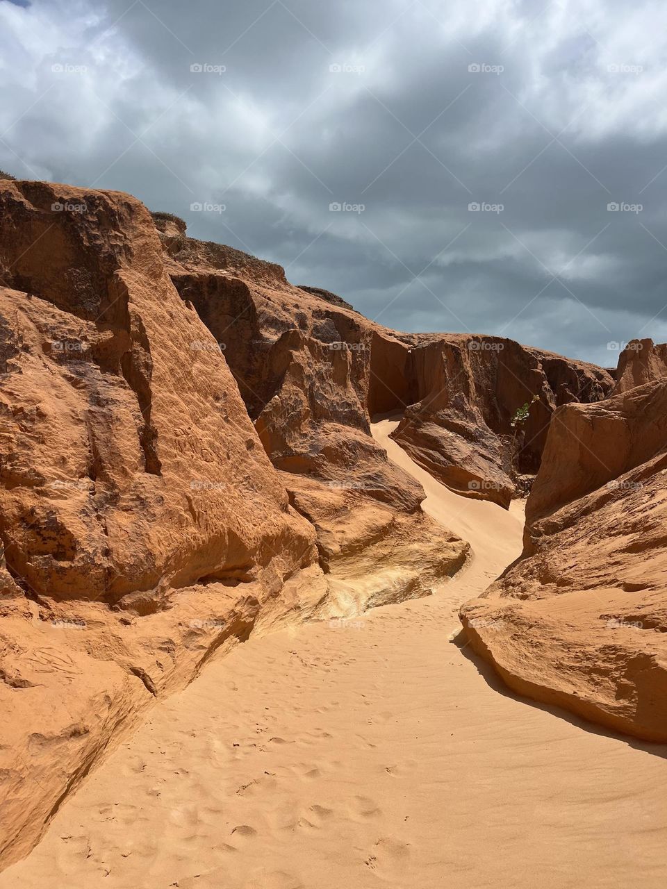 A estrada até o paraíso.