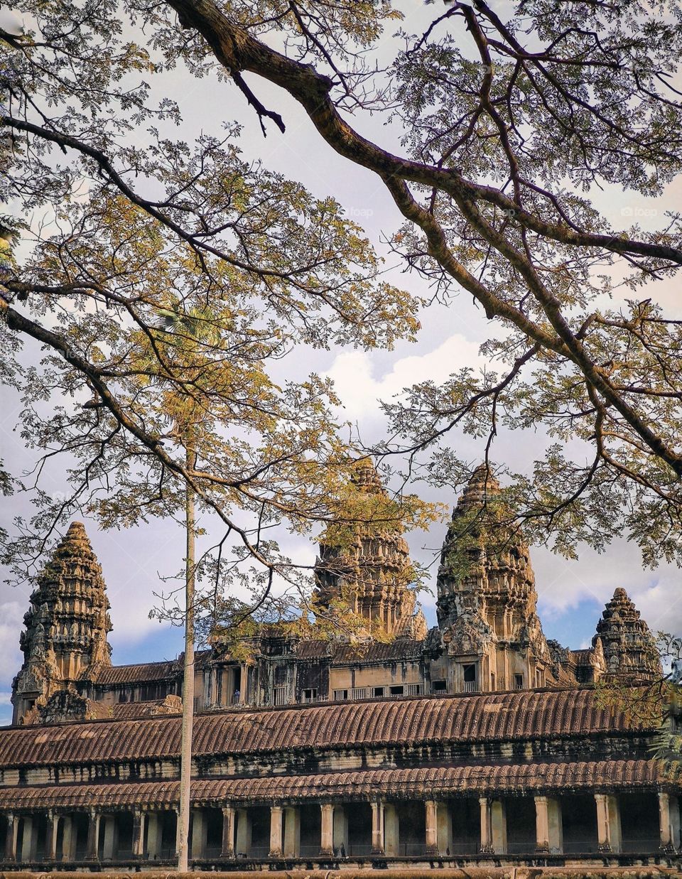 Angkor Wat Temple🔥