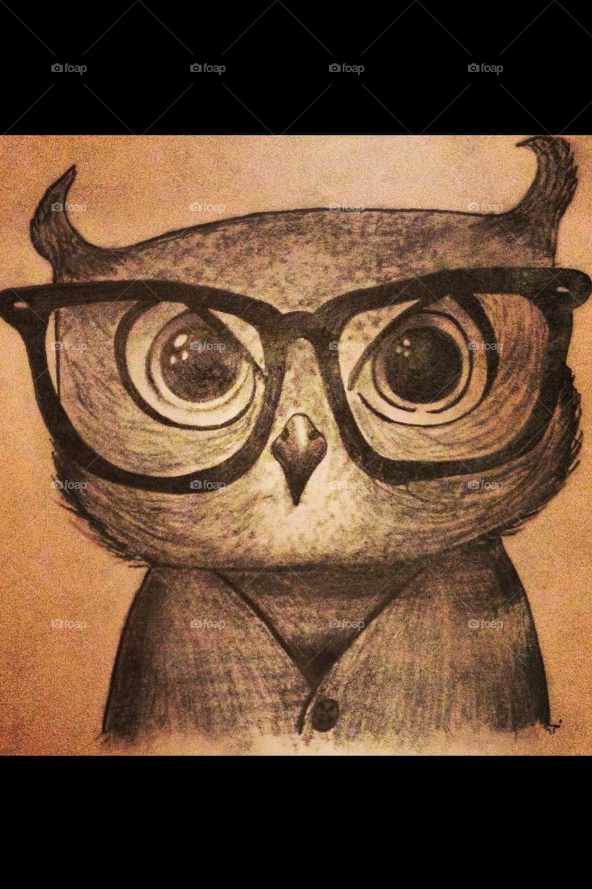 Fritz the owl